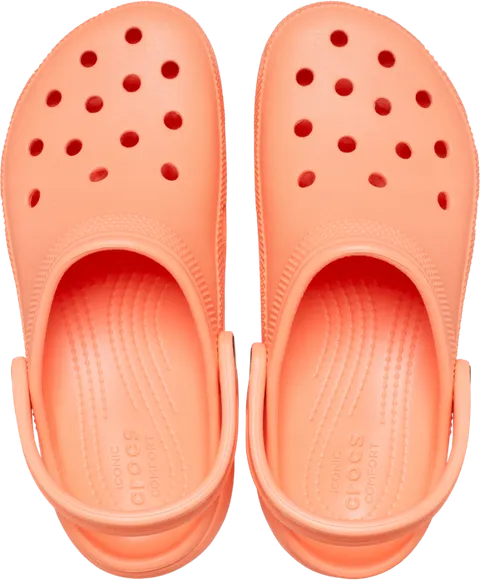 Crocs — фото 1