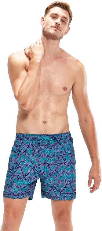 Шорты Speedo Print Leis (green/purple) - 1