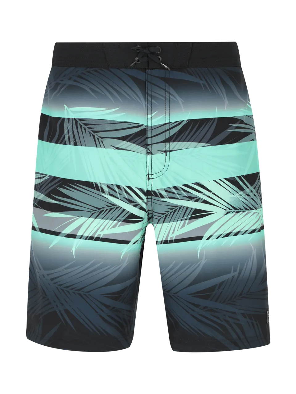 Шорты мужские Speedo ENG PRINT BONDI BRDSHRT 20'', черный/зеленый - 3