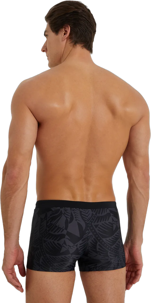 Плавки-шорты мужские SPEEDO Valmilton Valmilton Aquashort черн-сер - 2
